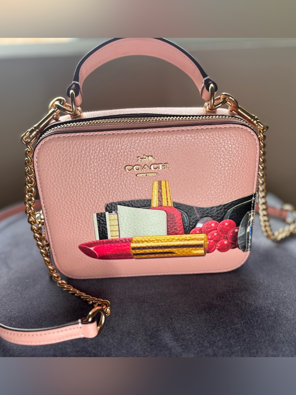 NWOT Coach x Tom Wesselmann Box Crossbody CQ044 Pink Limited Editio